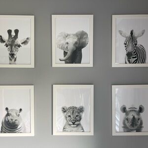 Set of Six Framed Black & White Safari Baby Animal Prints